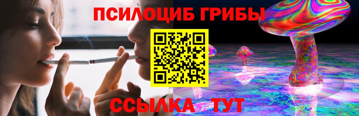 Псилоцибиновые грибы GOLDEN TEACHER  цена наркотик  Надым  Вход с VPN  Псилоцибиновые грибы ЛСД 